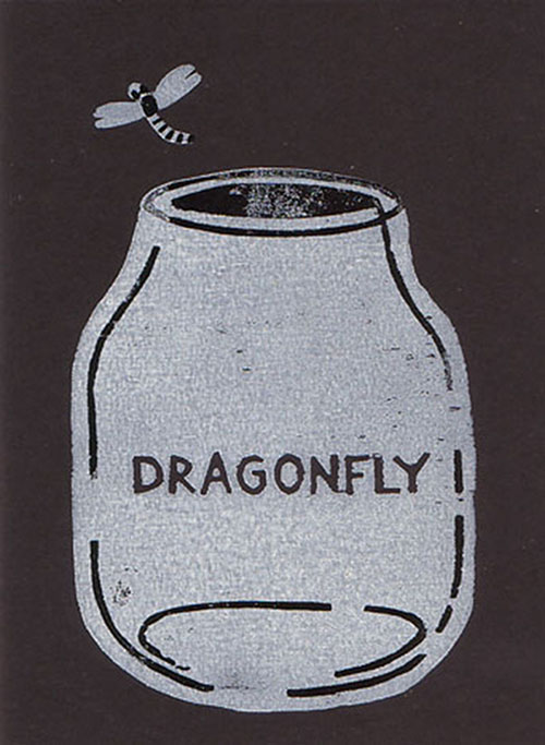 Read more about the article 2010_잠자리_Dragonfly